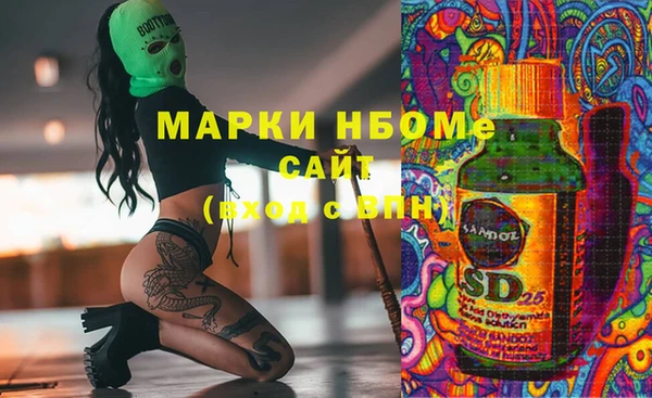 твердый Надым