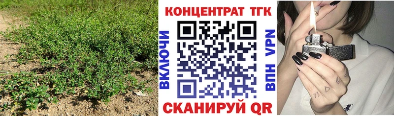 как найти наркотики  блэк спрут ССЫЛКА  ТГК вейп с тгк  Камешково 